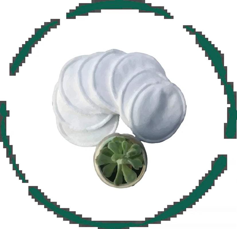 5 eco-friendly reusable facial rounds pads with a small succulent plant, perfect for makeup removal and zero waste.