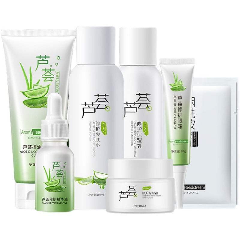 Women's fashion moisturizing skincare set with aloe vera and natural extracts for hydrating and blemish care